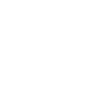 Secret Vault Logo